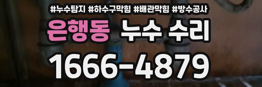 은행동 누수 수리
