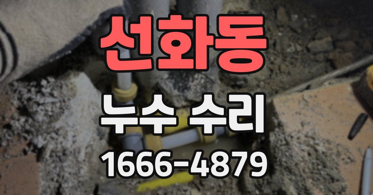 선화동 누수 수리