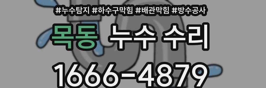 목동 누수 수리