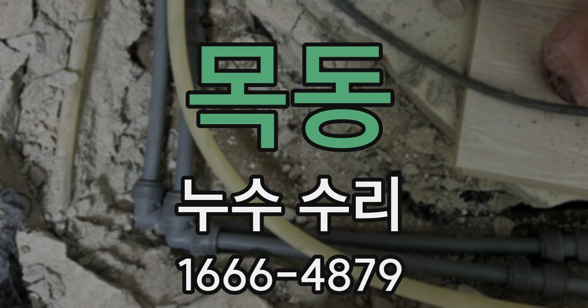목동 누수 수리