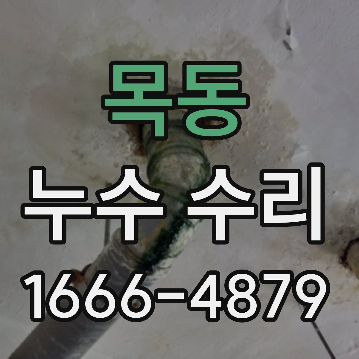 목동 누수 수리