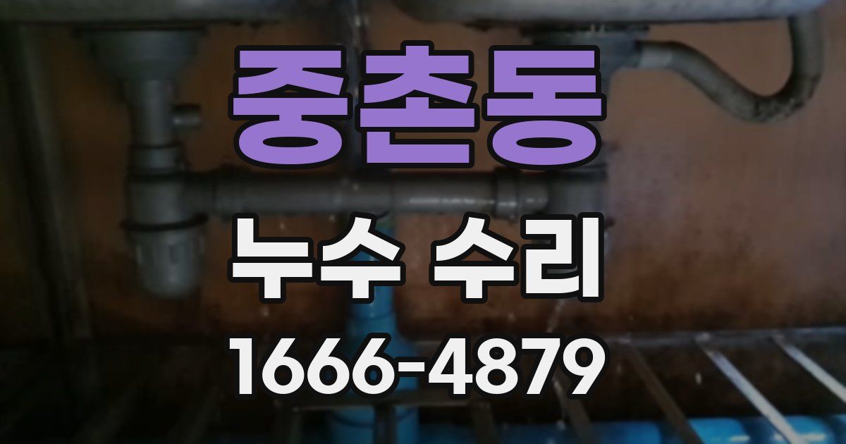 중촌동 누수 수리