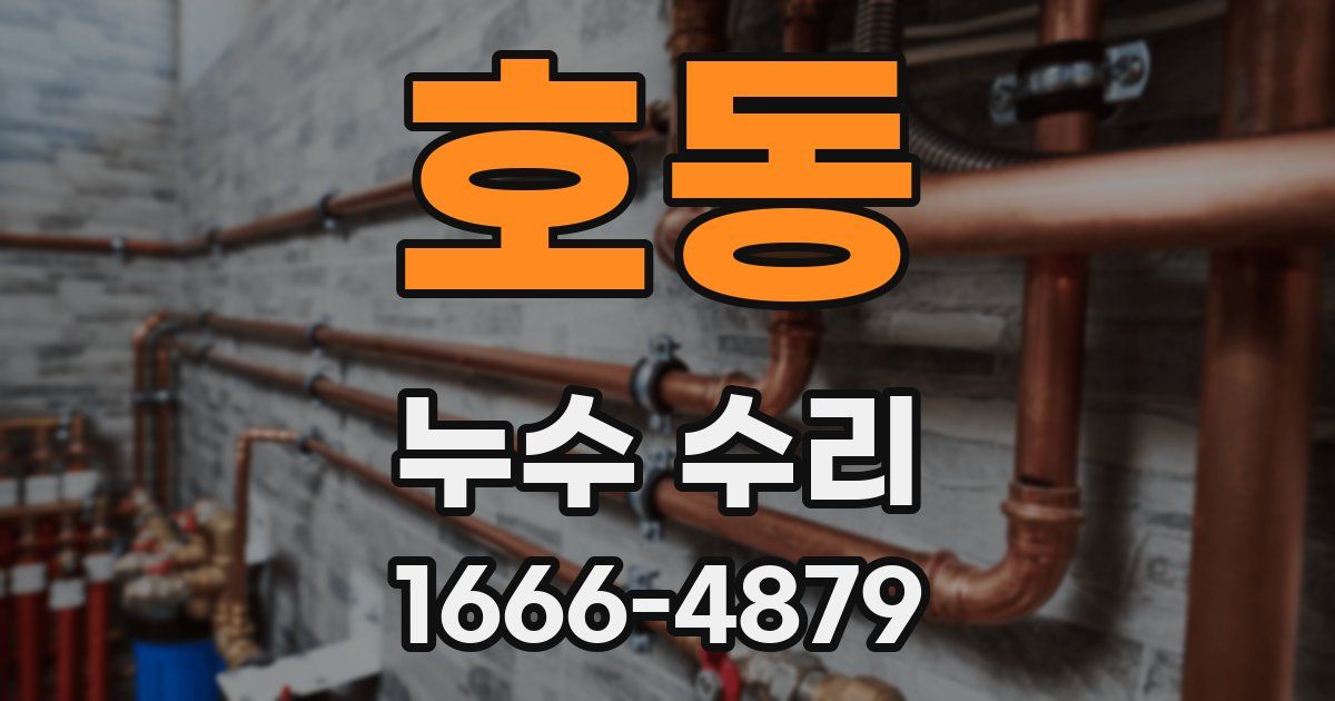 호동 누수 수리
