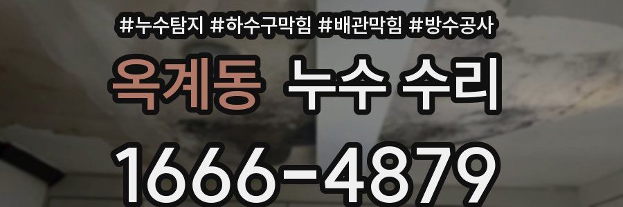옥계동 누수 수리