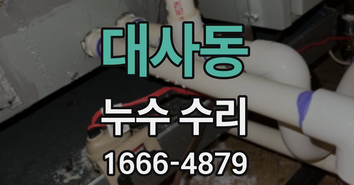 대사동 누수 수리