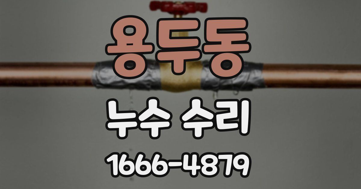 용두동 누수 수리