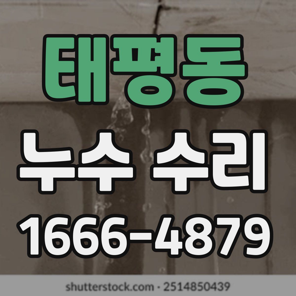 태평동 누수 수리