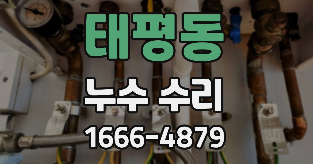 태평동 누수 수리