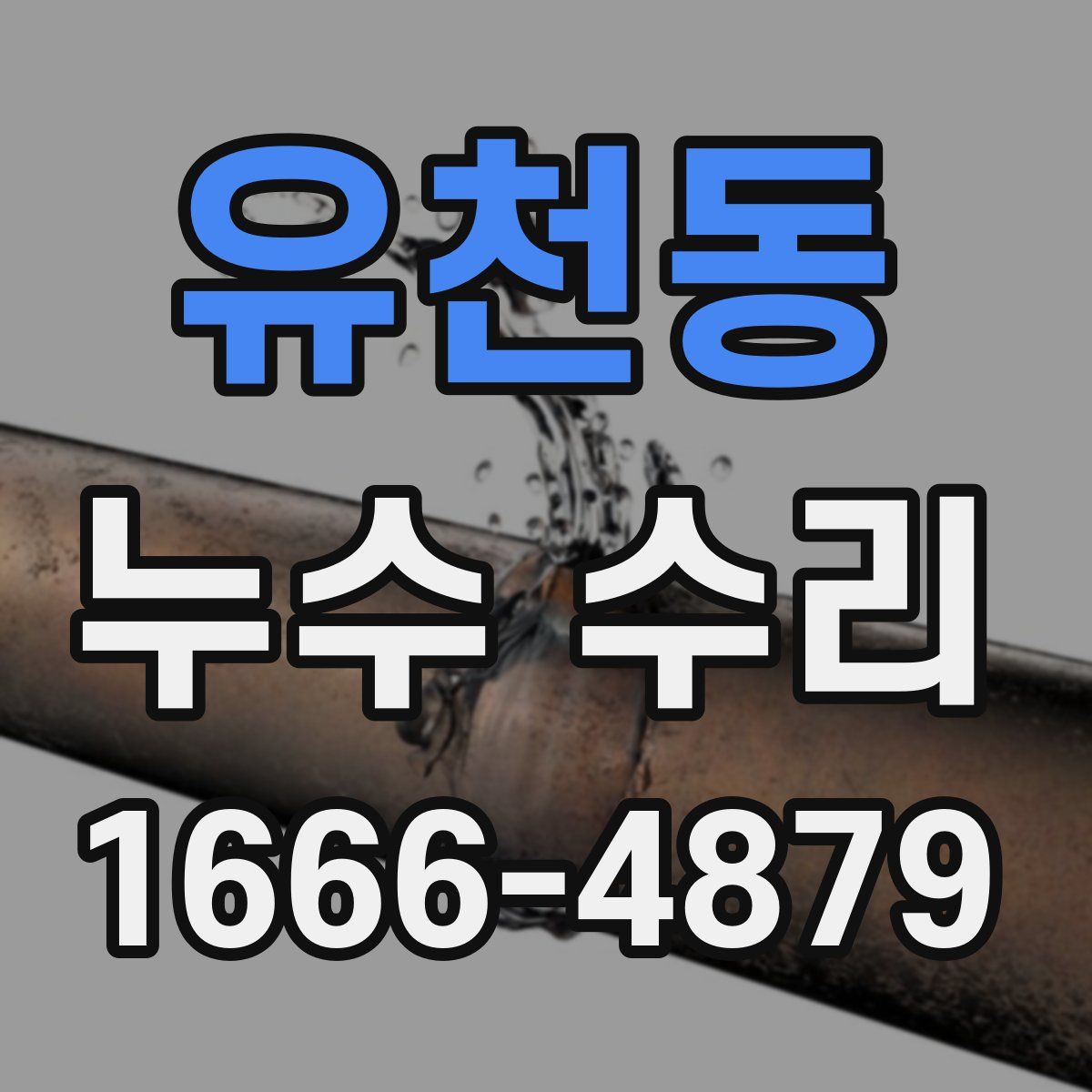 유천동 누수 수리