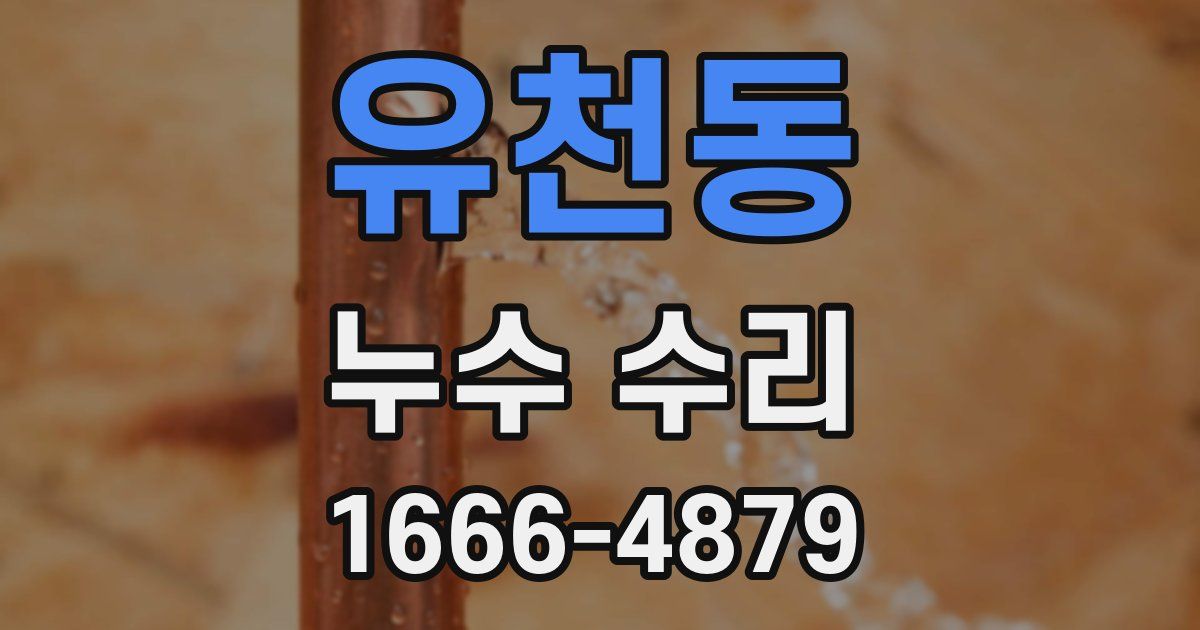 유천동 누수 수리