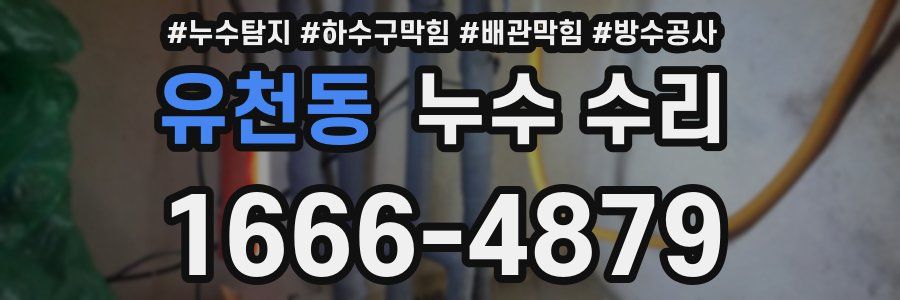 유천동 누수 수리