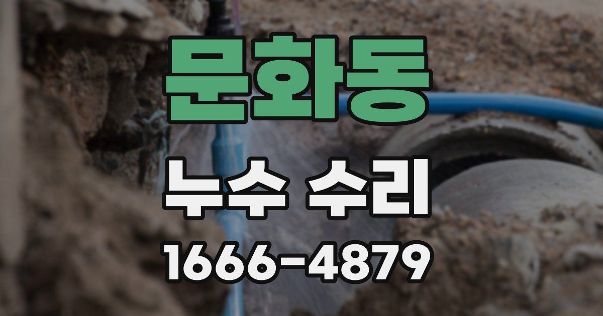 문화동 누수 수리