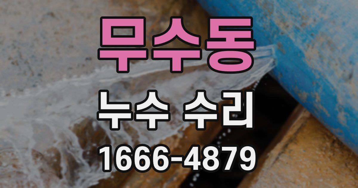 무수동 누수 수리