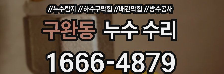 구완동 누수 수리