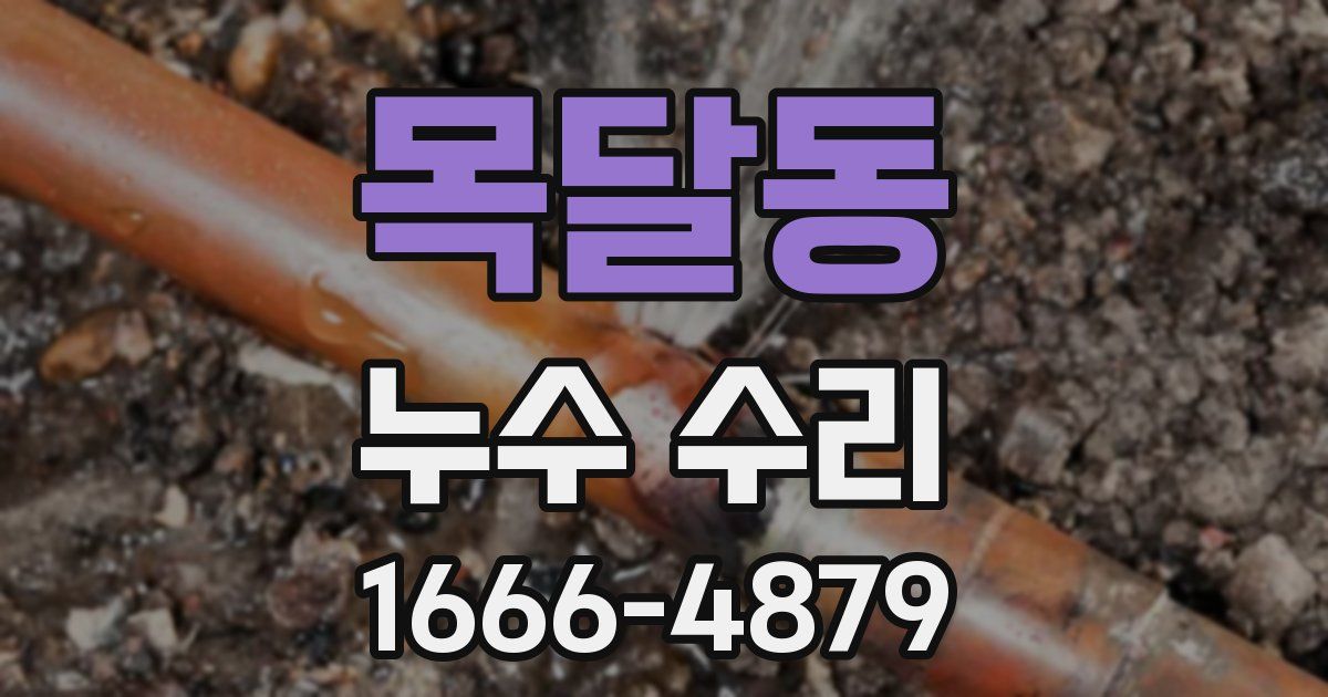 목달동 누수 수리