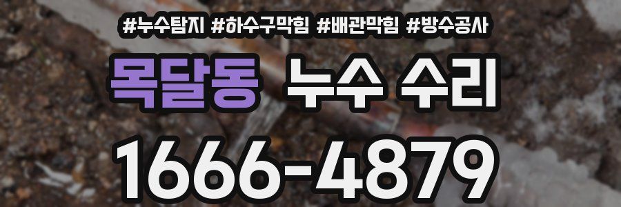 목달동 누수 수리