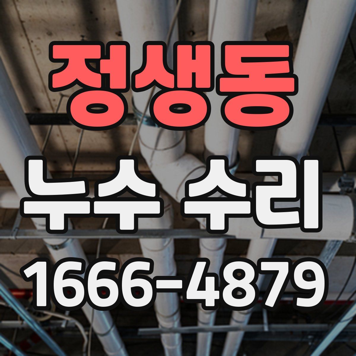 정생동 누수 수리