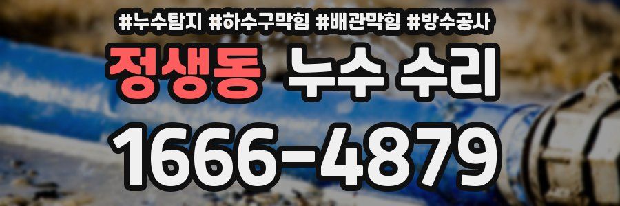 정생동 누수 수리