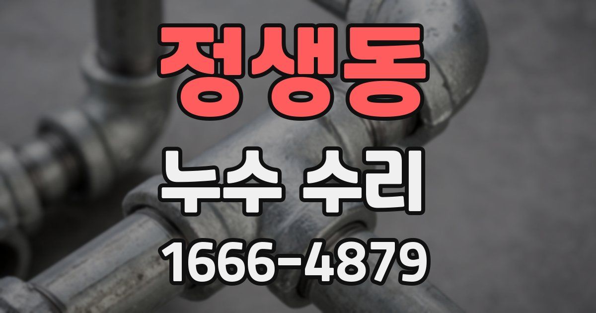정생동 누수 수리