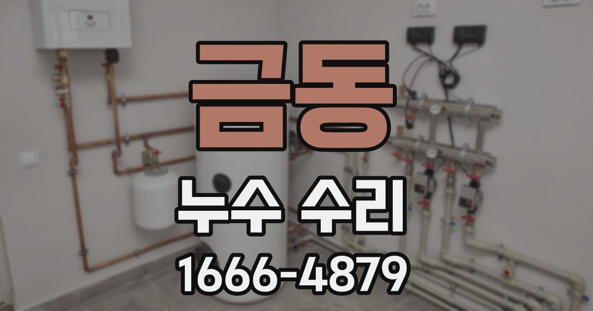 금동 누수 수리