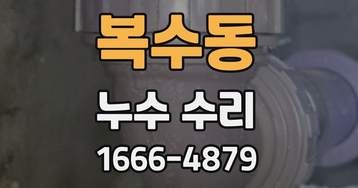 복수동 누수 수리