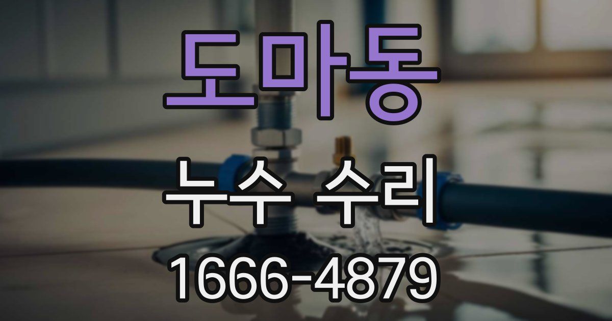 도마동 누수 수리