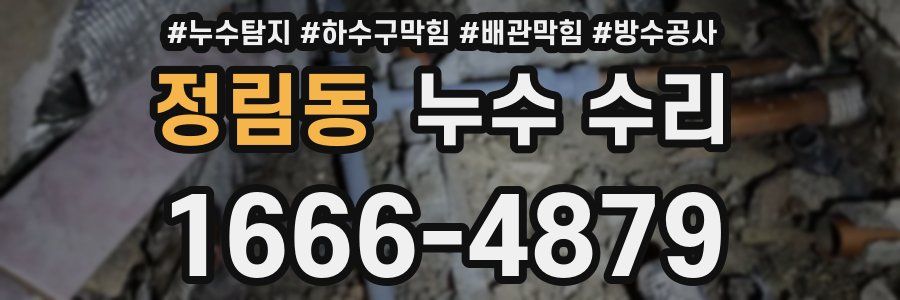 정림동 누수 수리