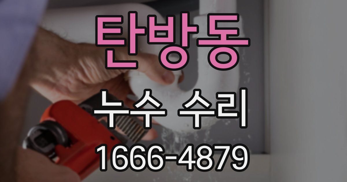 탄방동 누수 수리
