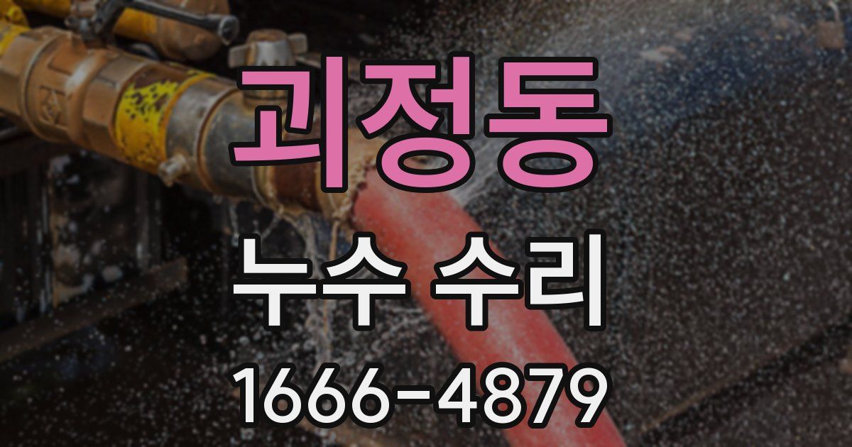 괴정동 누수 수리