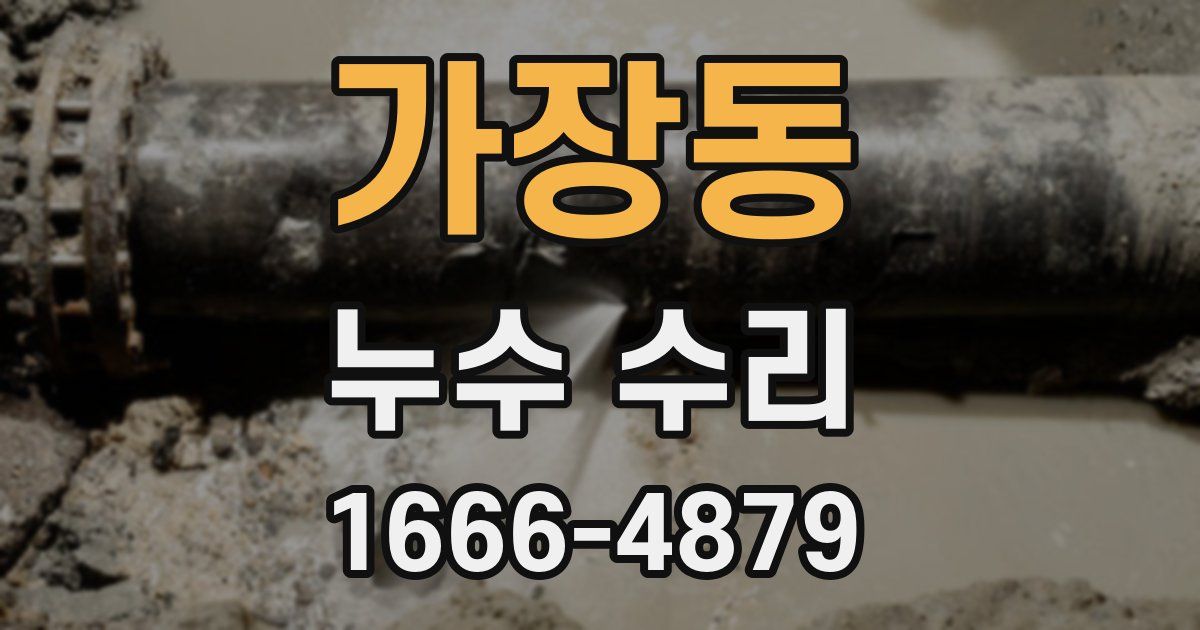 가장동 누수 수리