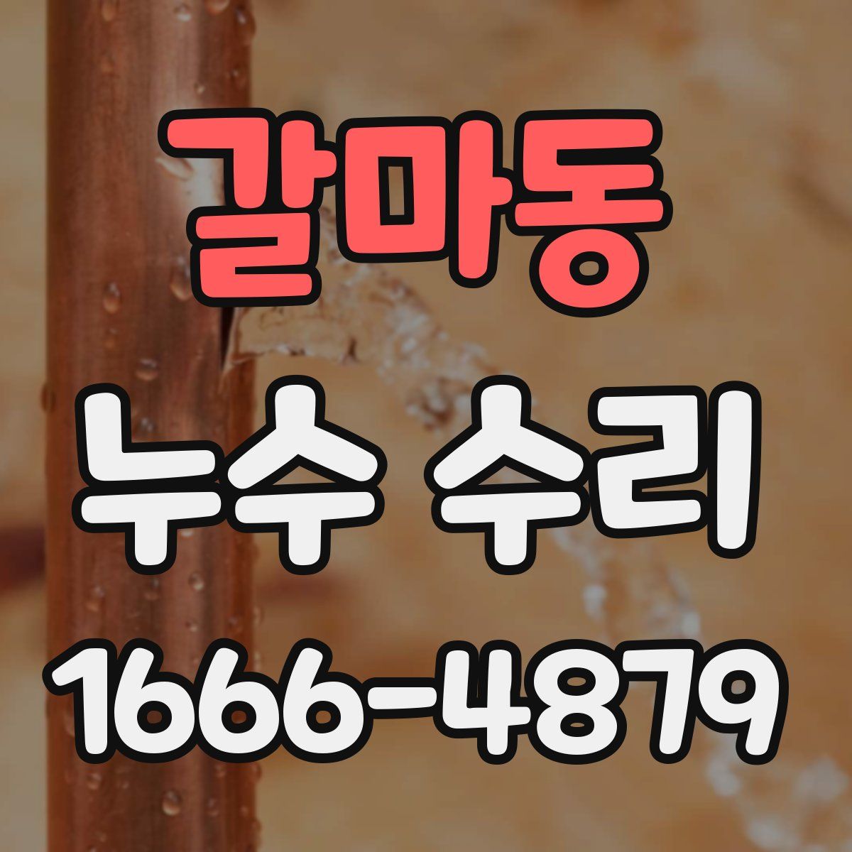 갈마동 누수 수리