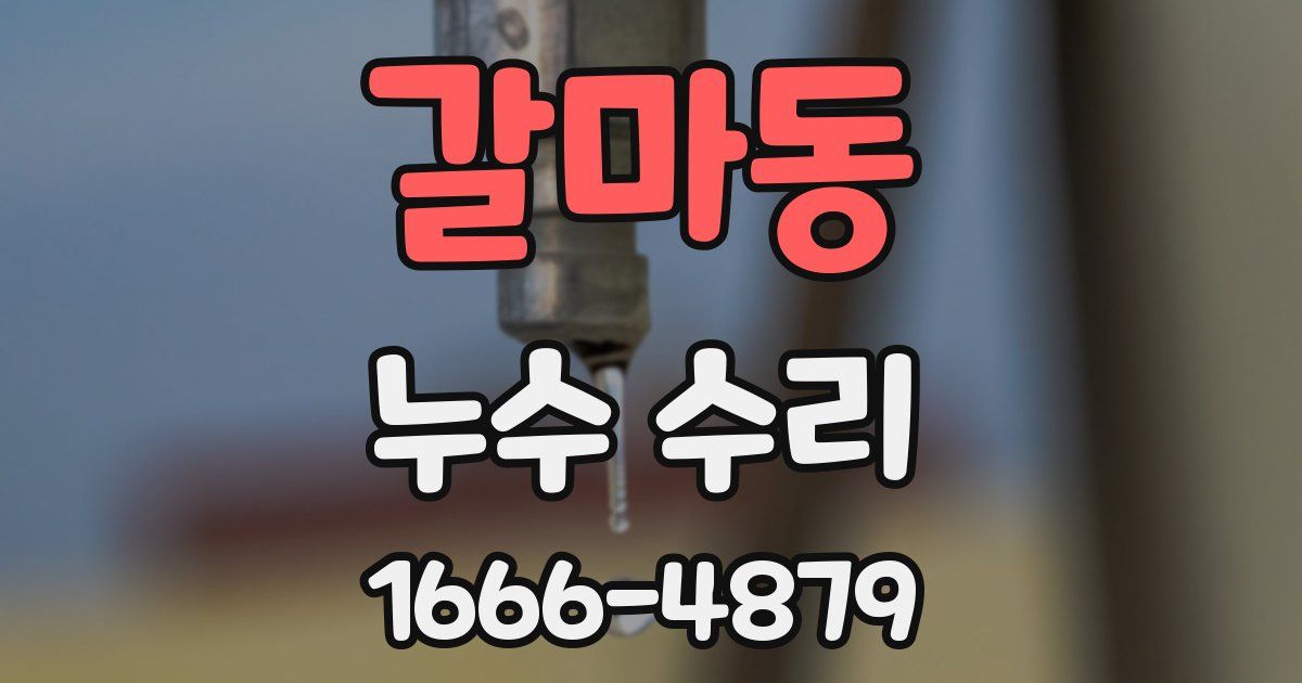 갈마동 누수 수리