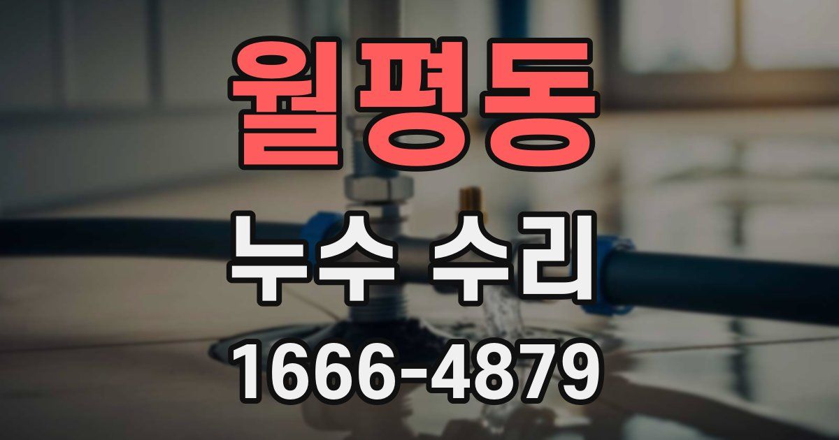 월평동 누수 수리