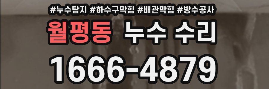월평동 누수 수리
