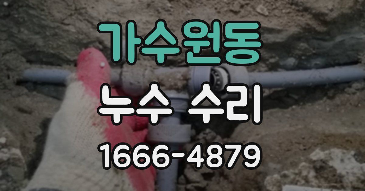 가수원동 누수 수리