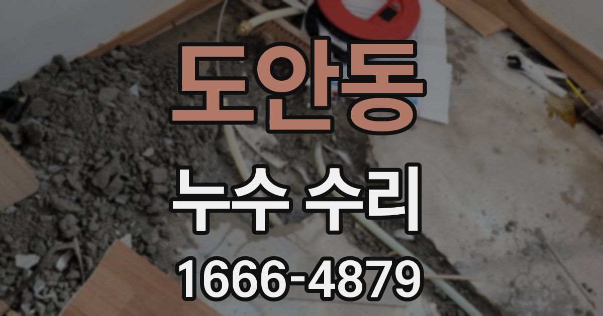 도안동 누수 수리