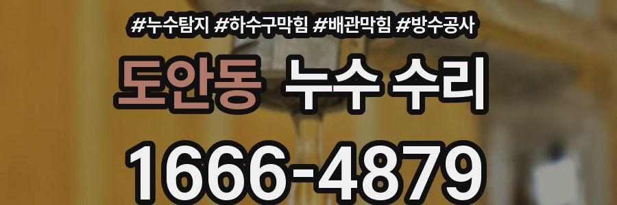 도안동 누수 수리
