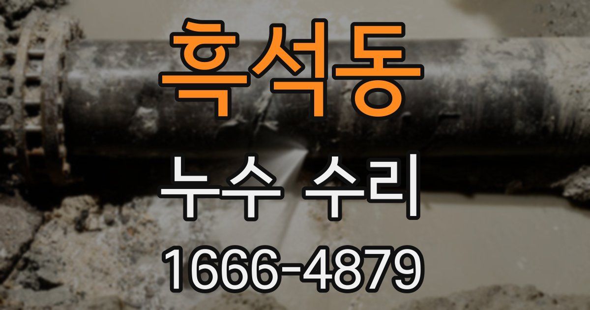 흑석동 누수 수리