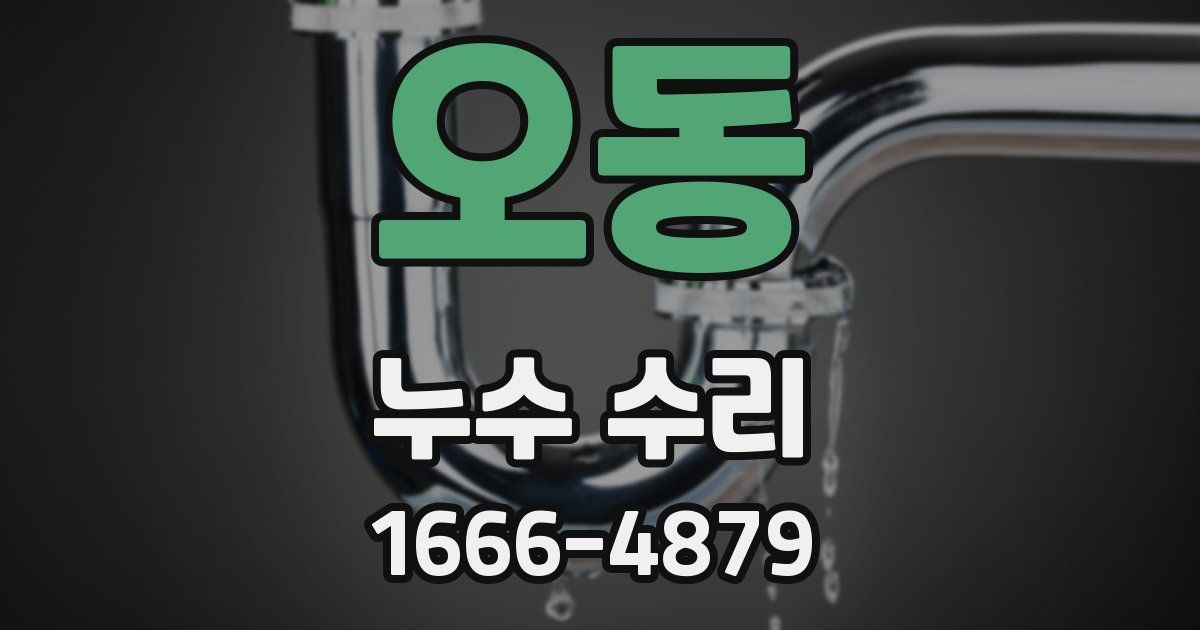오동 누수 수리