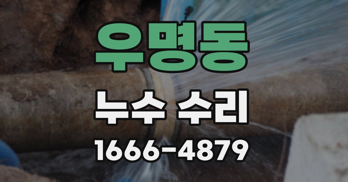 우명동 누수 수리