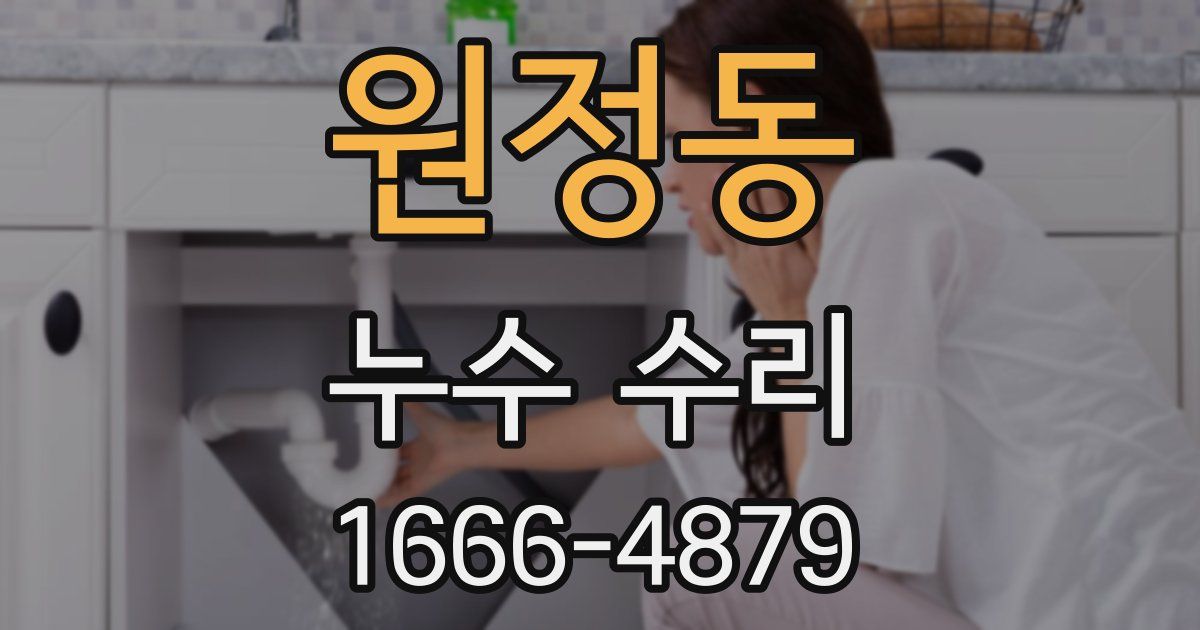 원정동 누수 수리