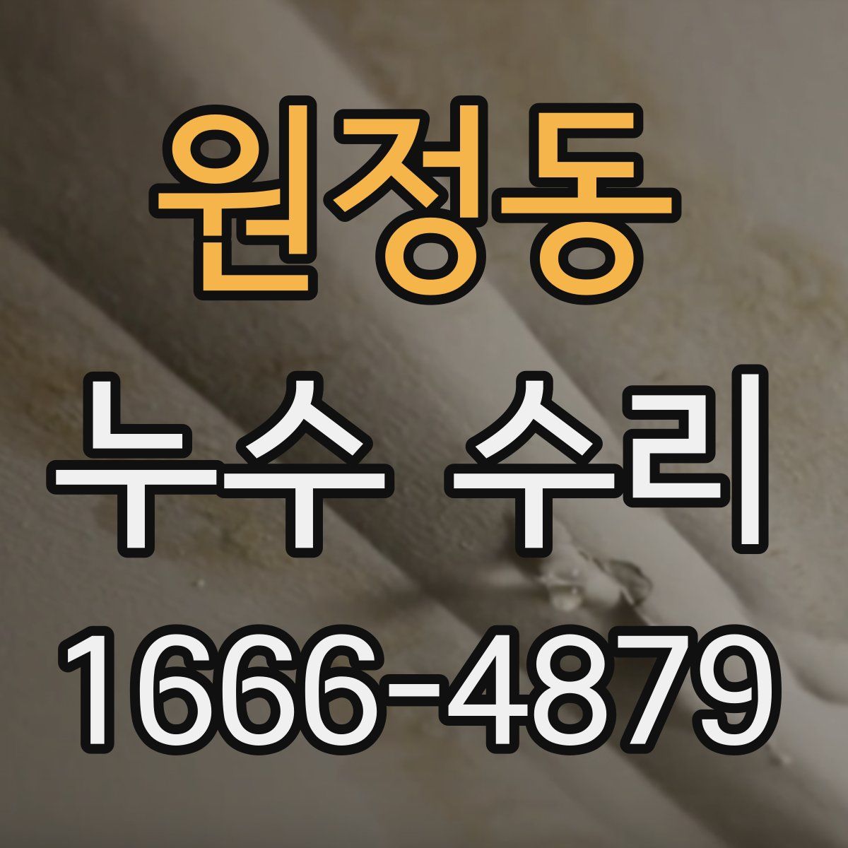원정동 누수 수리