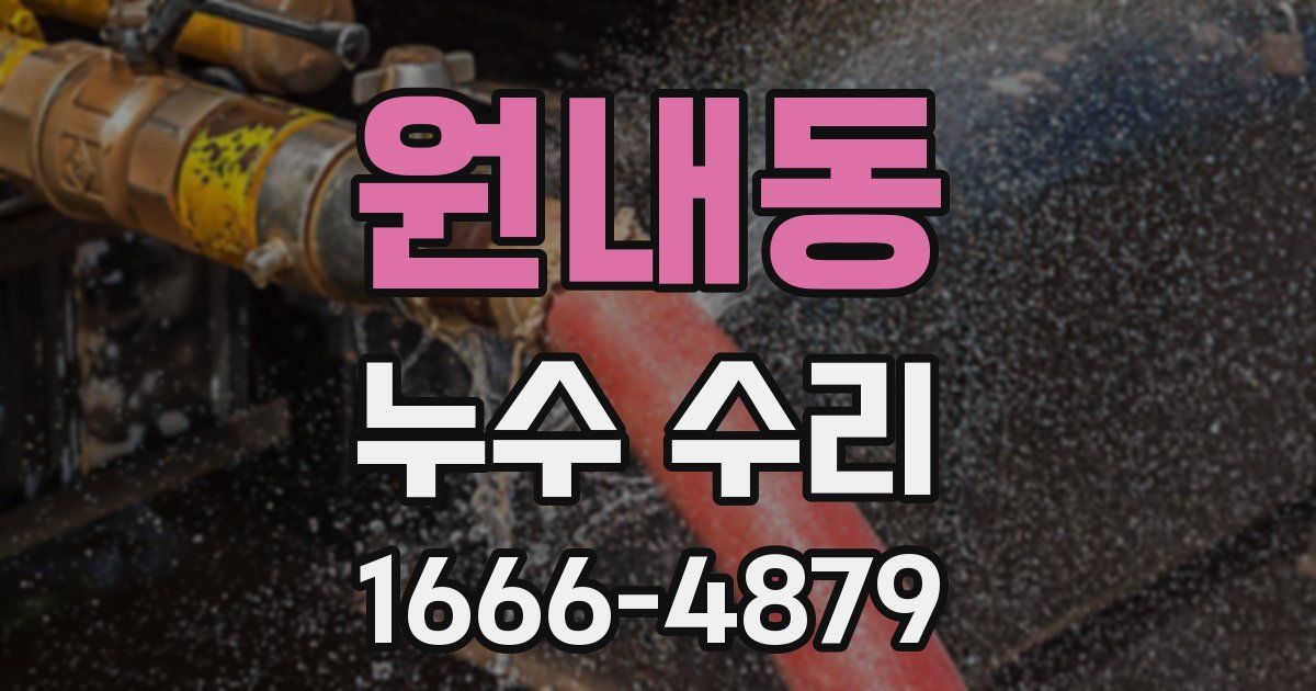 원내동 누수 수리