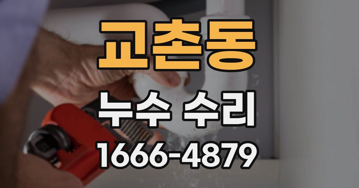 교촌동 누수 수리
