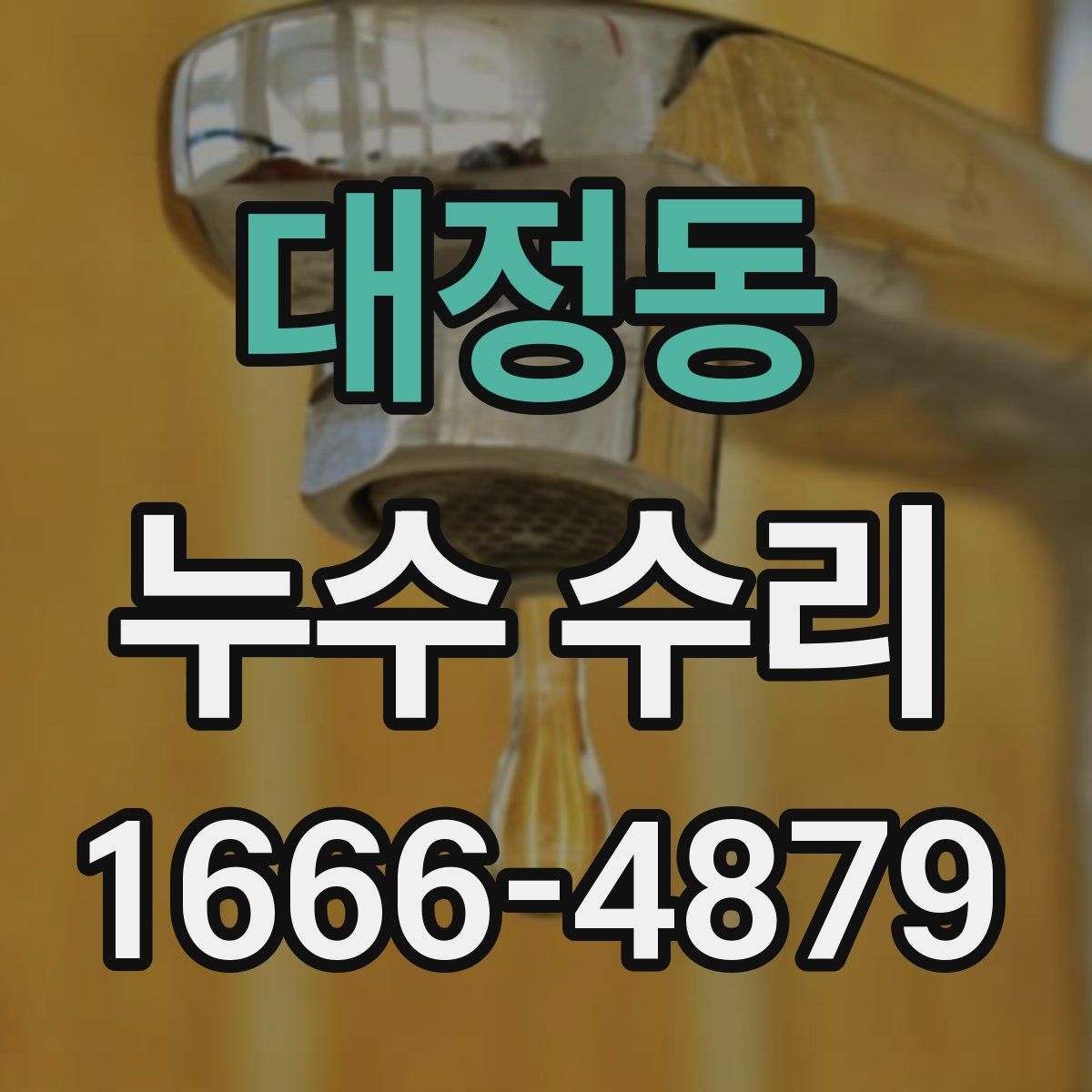 대정동 누수 수리