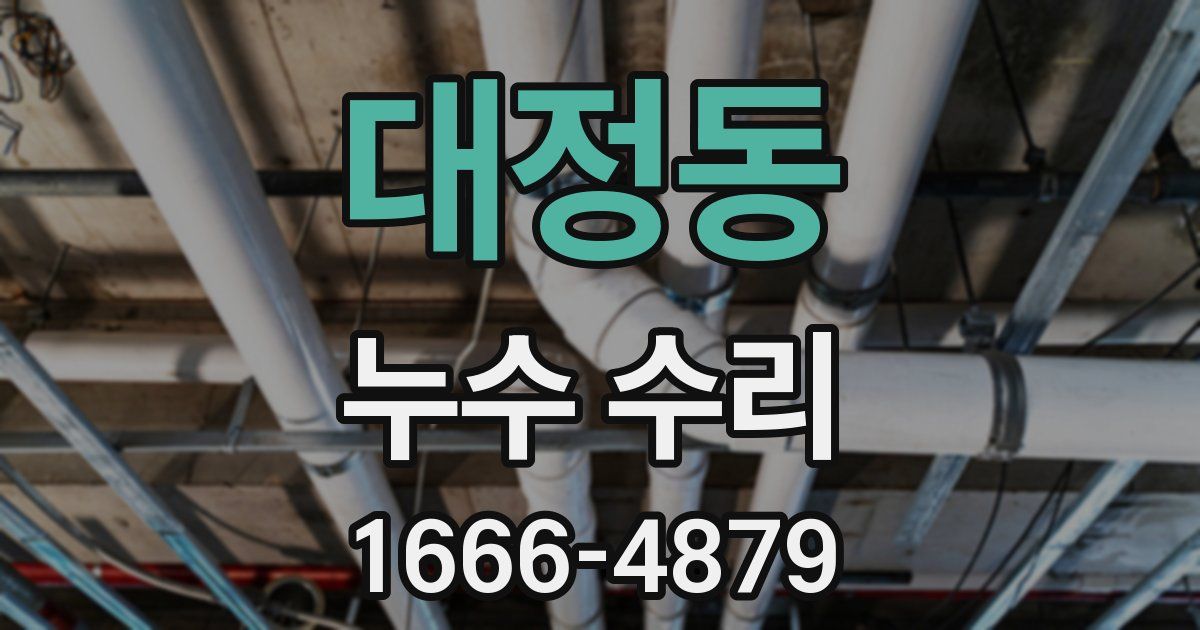 대정동 누수 수리