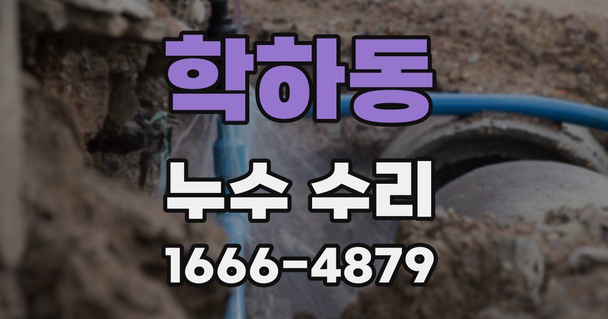 학하동 누수 수리