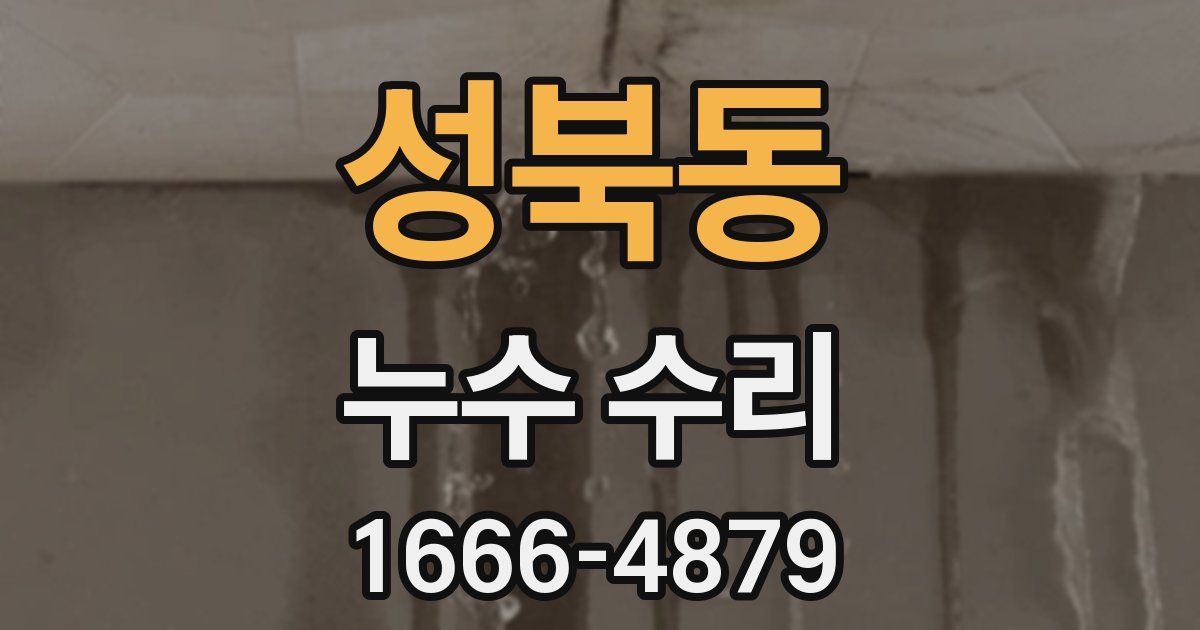 성북동 누수 수리