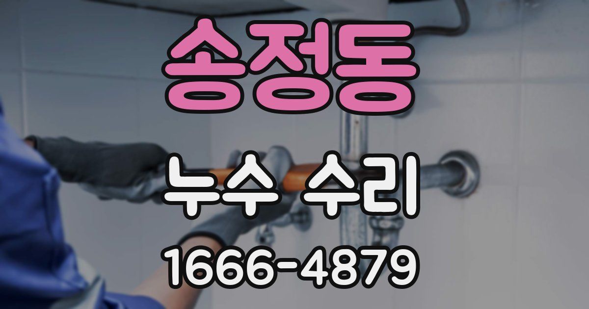 송정동 누수 수리