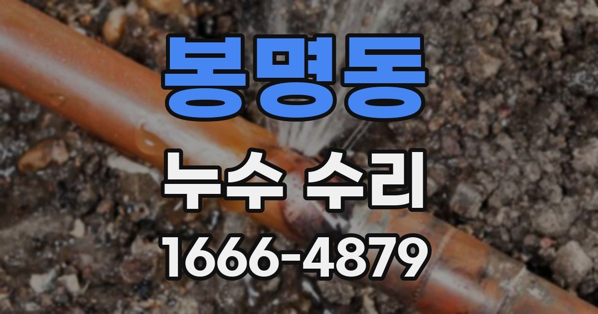 봉명동 누수 수리